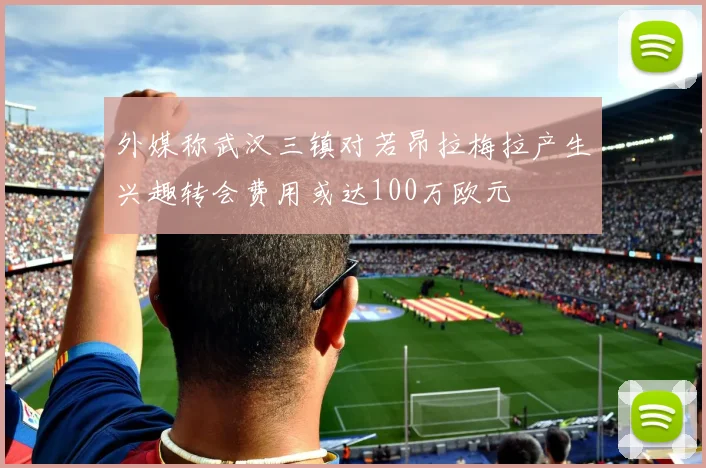 外媒称武汉三镇对若昂拉梅拉产生兴趣转会费用或达100万欧元