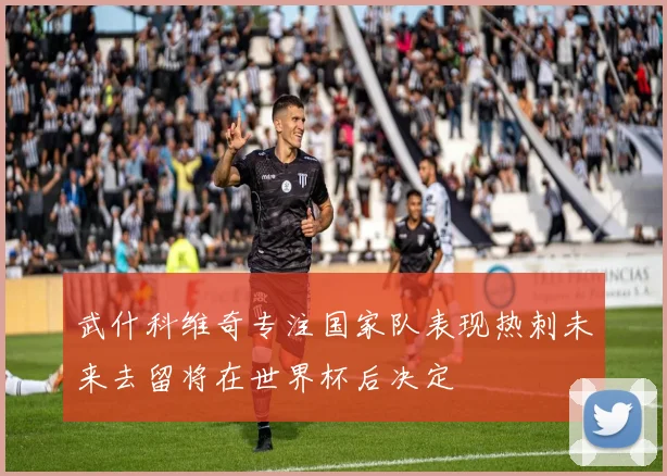 武什科维奇专注国家队表现热刺未来去留将在世界杯后决定